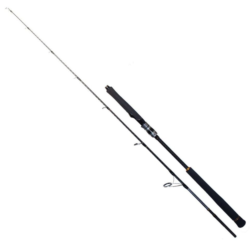 RYUJI SEAWOLF 1.98M 30-150GR 2P JIG KAMIŞ