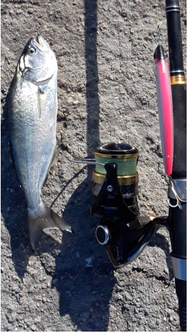 Usami Wasabi Min (Jir) 110F-SR 12.4 G Maket Balık